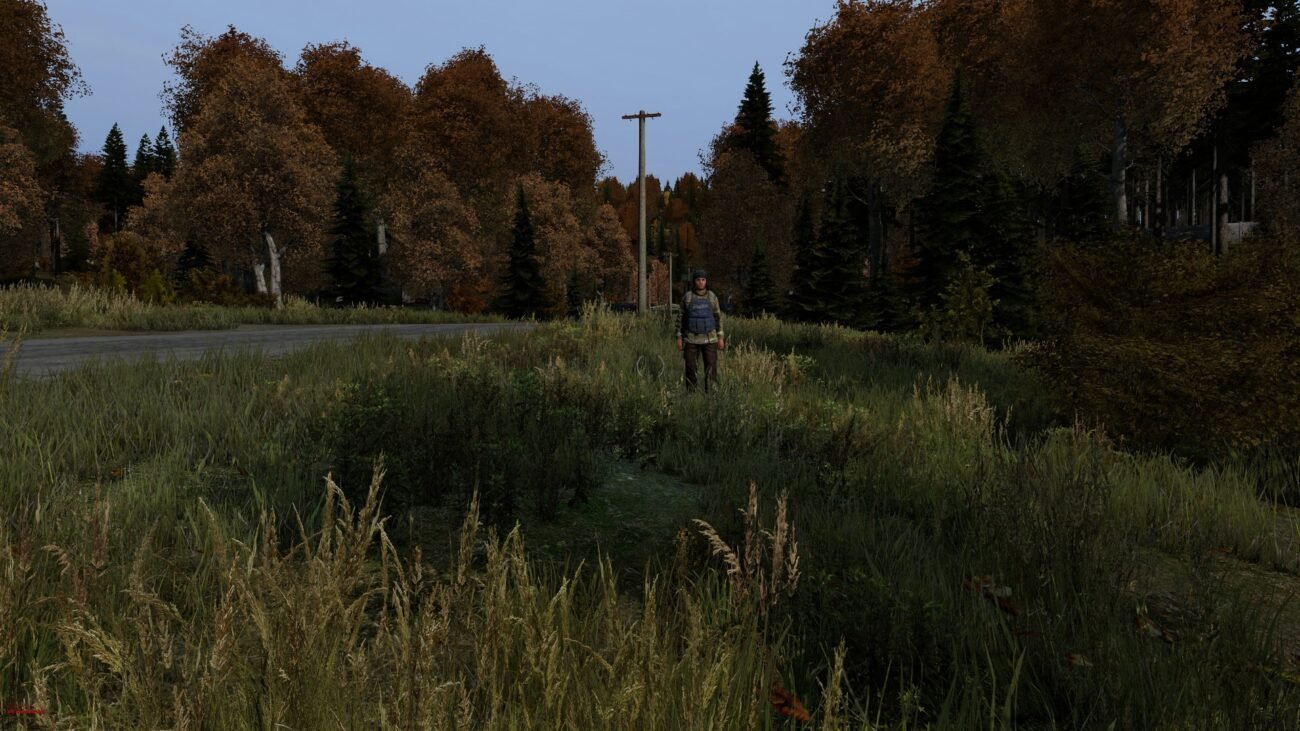 DayZ (PC) - Steam Key - GLOBAL screenshot